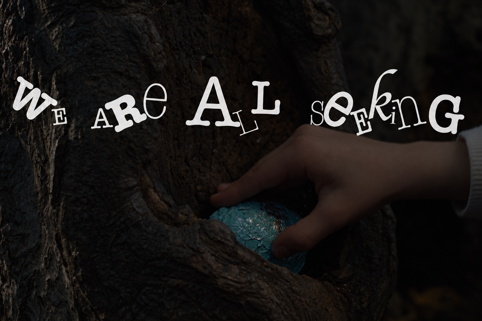 We Are All Seeking — original playful film title lettering over a hand reaching into a tree hollow